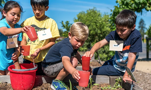 students watering plants